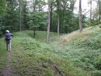 Wall, Graben und Burghügel im Wald bei Schlat